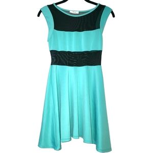 Mint Green Mesh Panel Skater Dress
